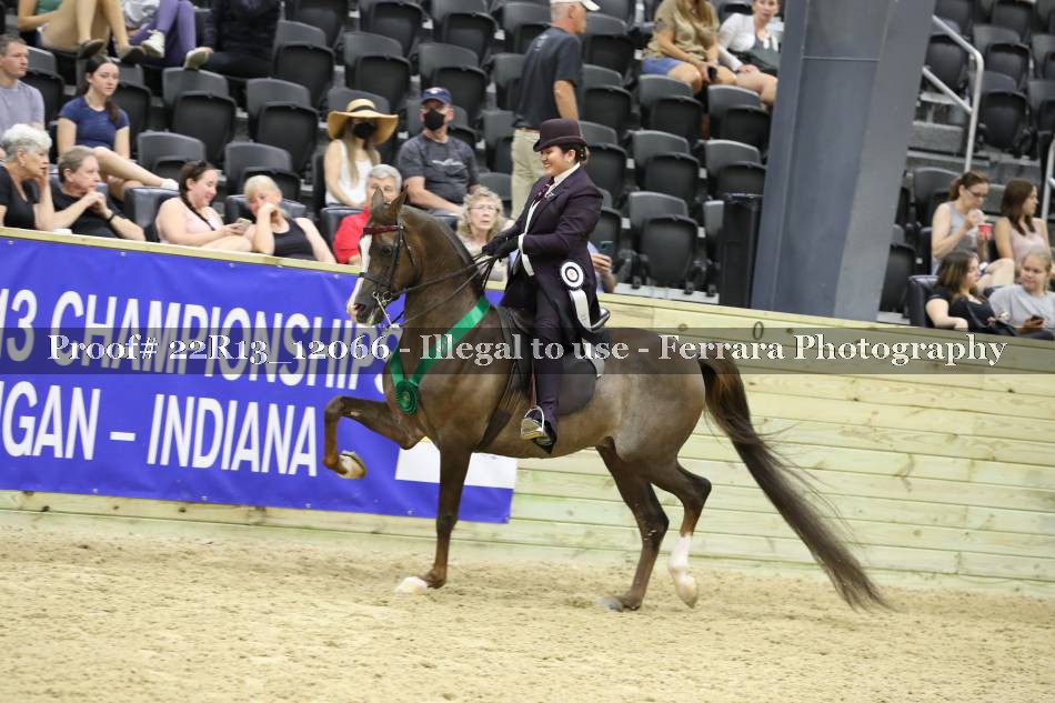 Proof 22R13_12066