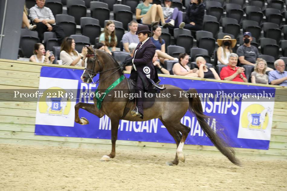 Proof 22R13_12067