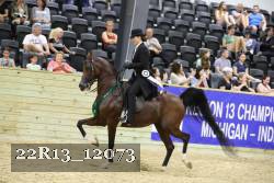 22R13_12073 proof