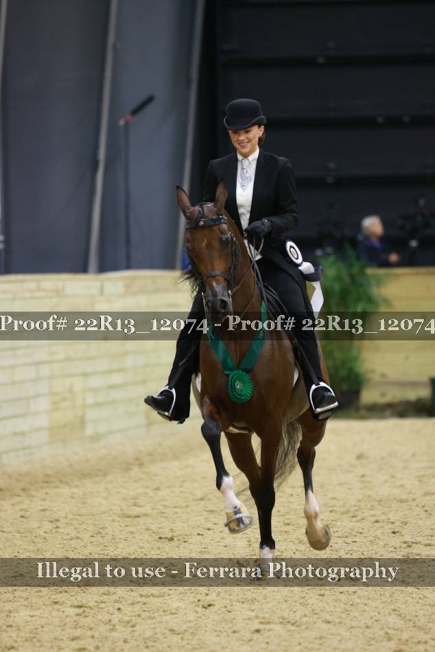 Proof 22R13_12074