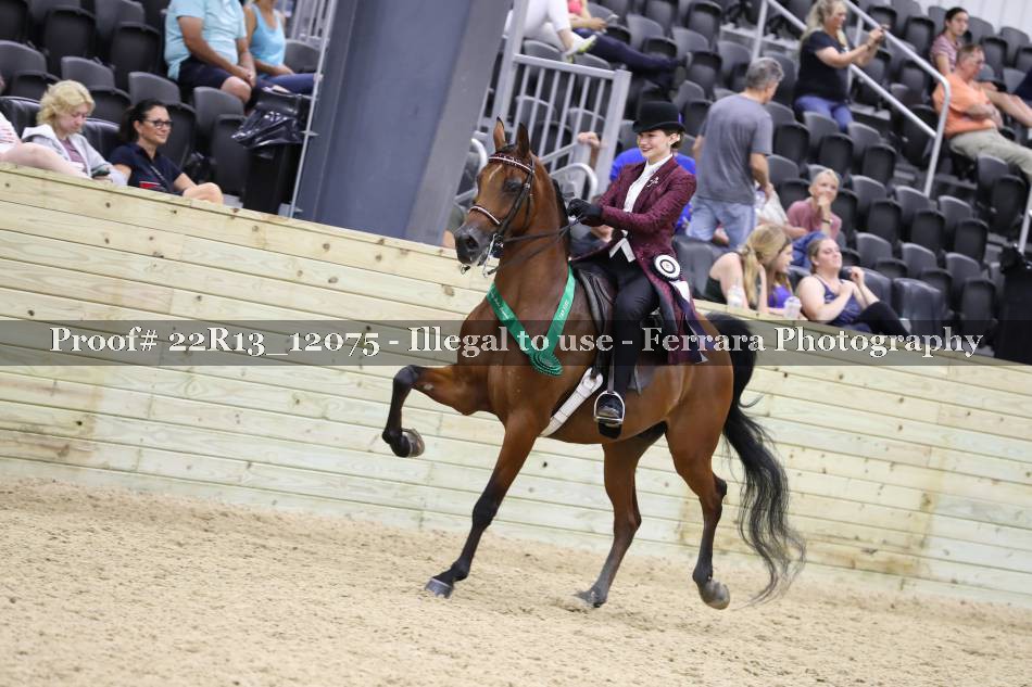 Proof 22R13_12075