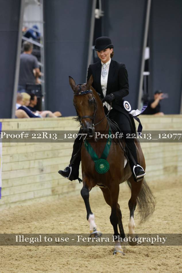 Proof 22R13_12077