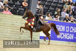 22R13_12086 proof