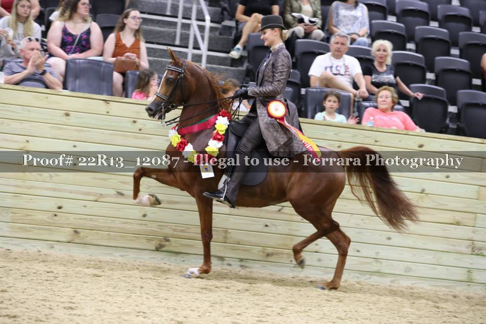 Proof 22R13_12087