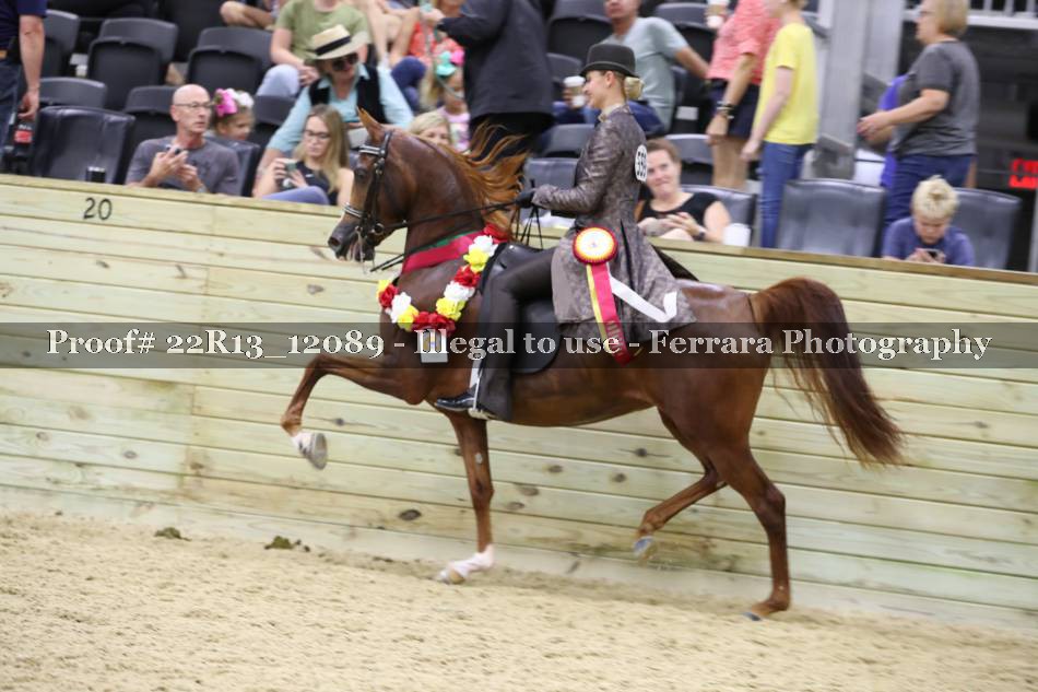 Proof 22R13_12089