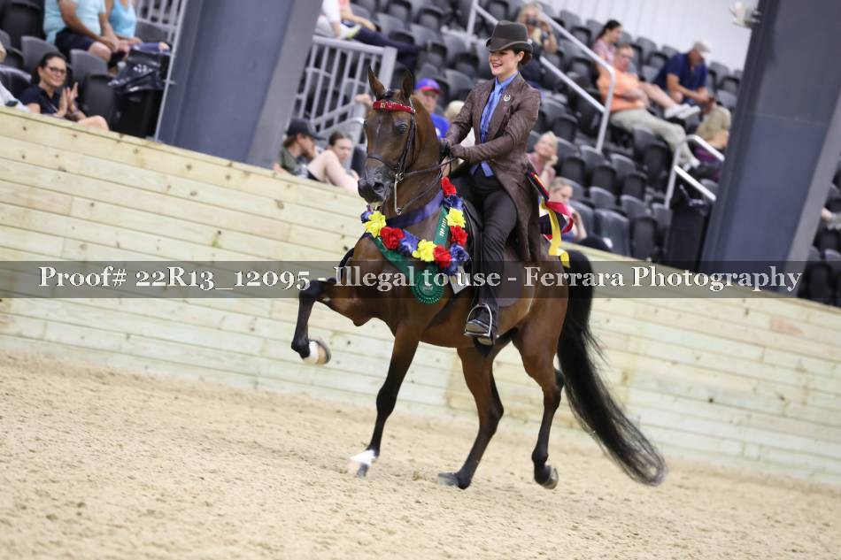Proof 22R13_12095
