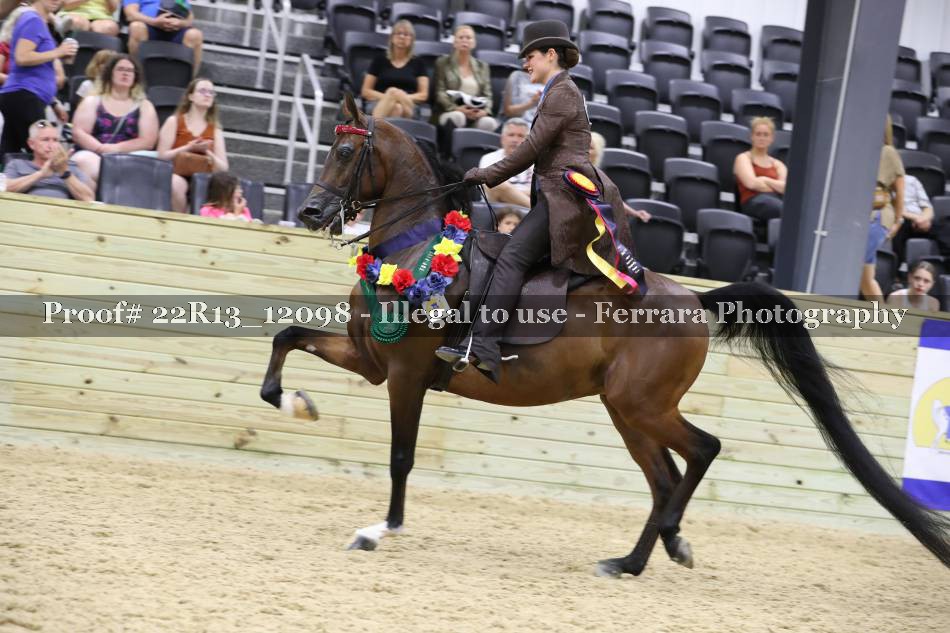 Proof 22R13_12098