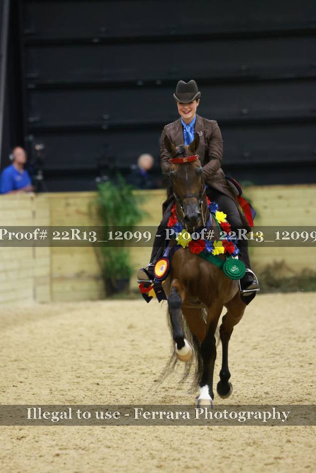 Proof 22R13_12099