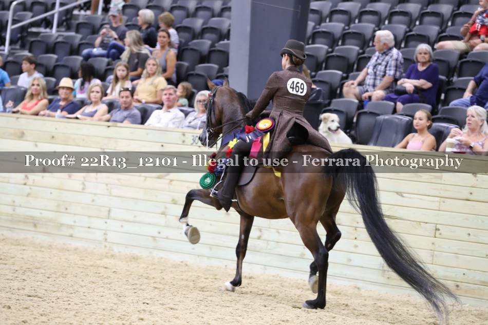 Proof 22R13_12101