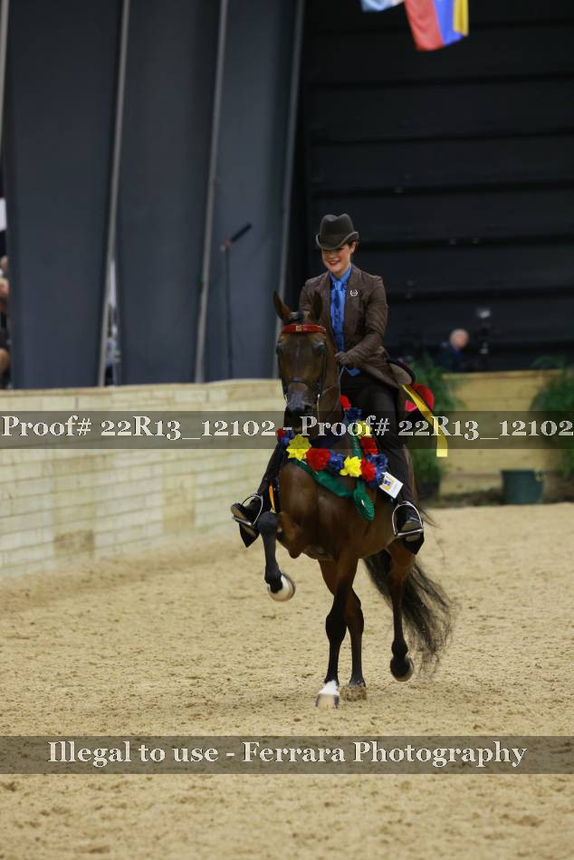 Proof 22R13_12102