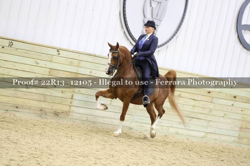 Proof 22R13_12105