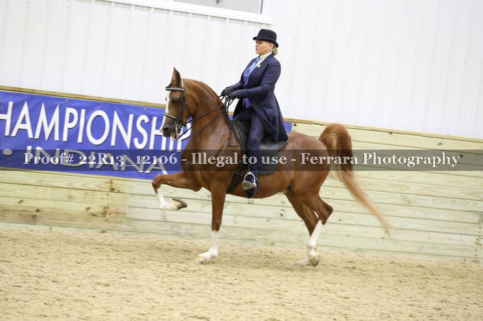 Proof 22R13_12106