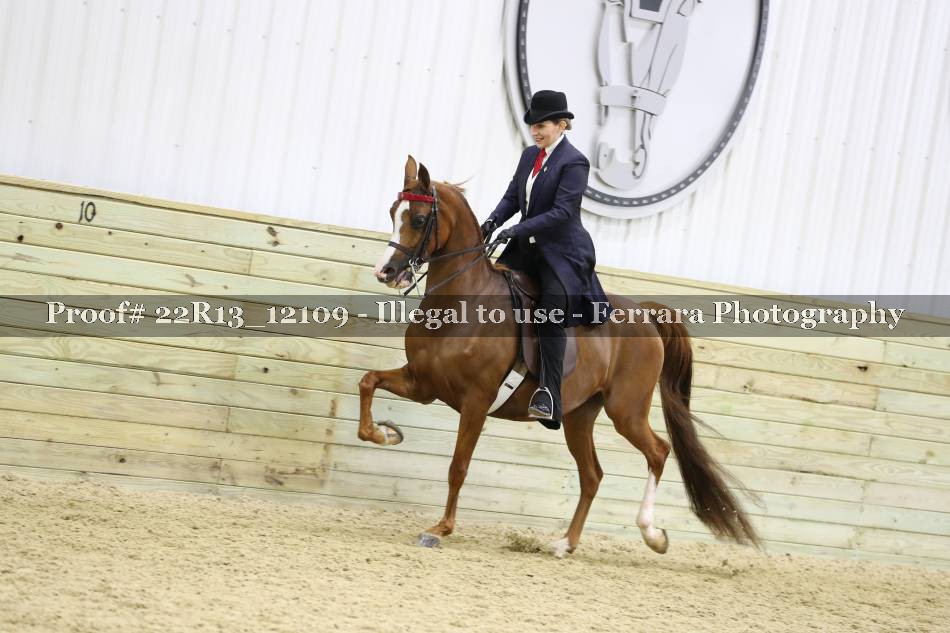 Proof 22R13_12109