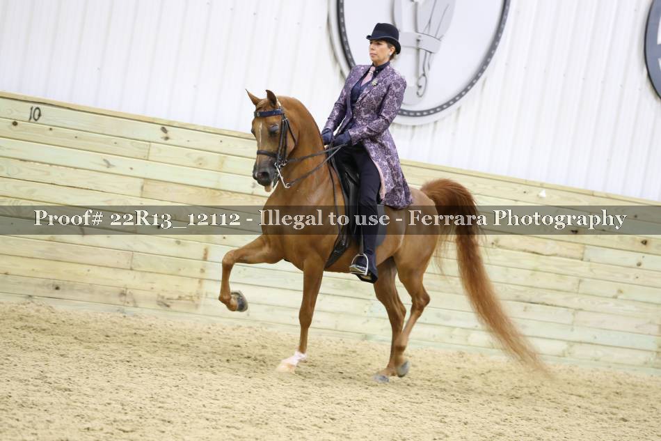 Proof 22R13_12112
