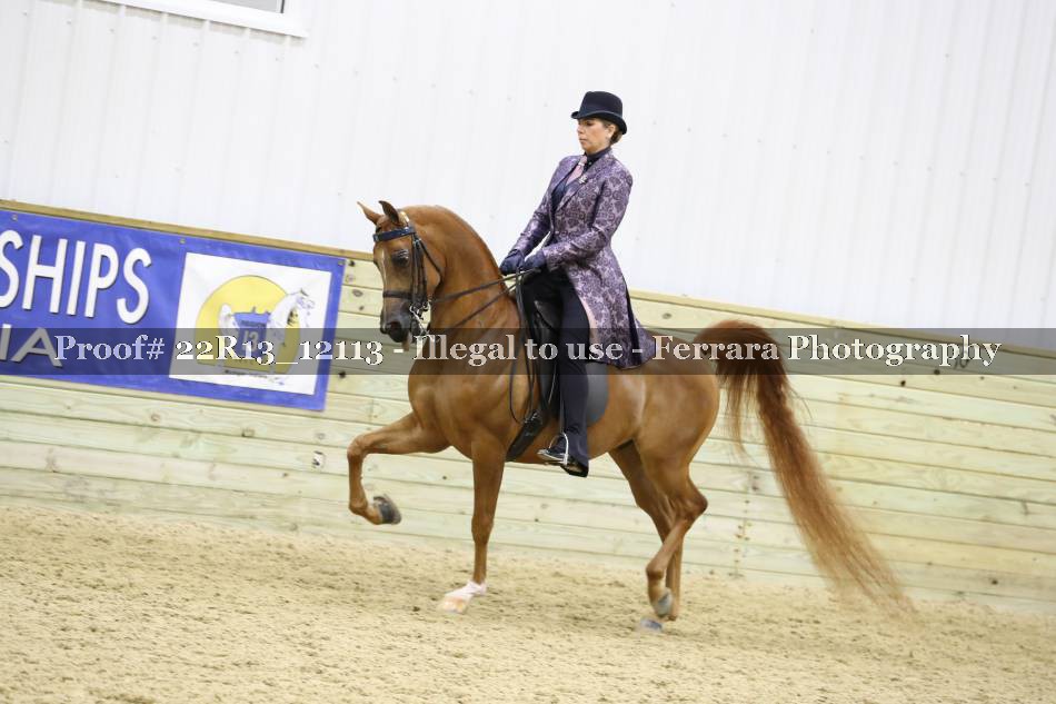 Proof 22R13_12113