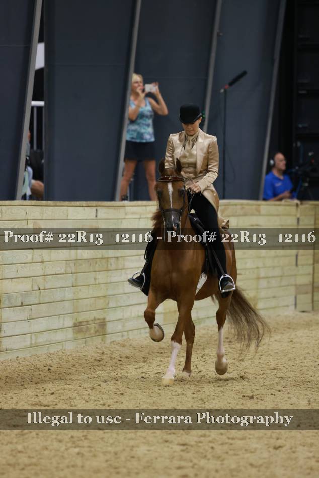 Proof 22R13_12116
