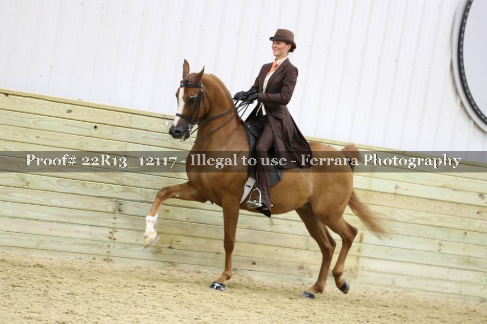 Proof 22R13_12117
