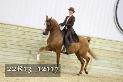 22R13_12117 proof