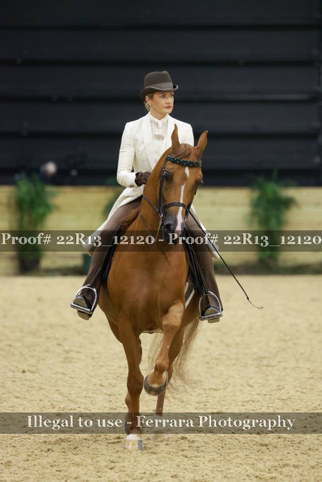 Proof 22R13_12120