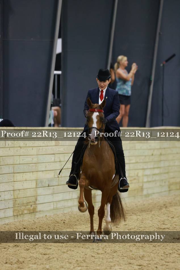 Proof 22R13_12124