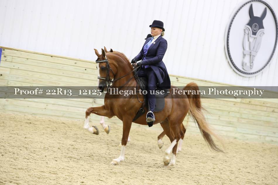 Proof 22R13_12125