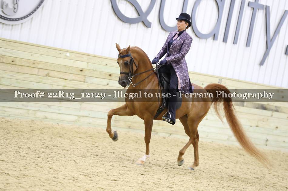 Proof 22R13_12129