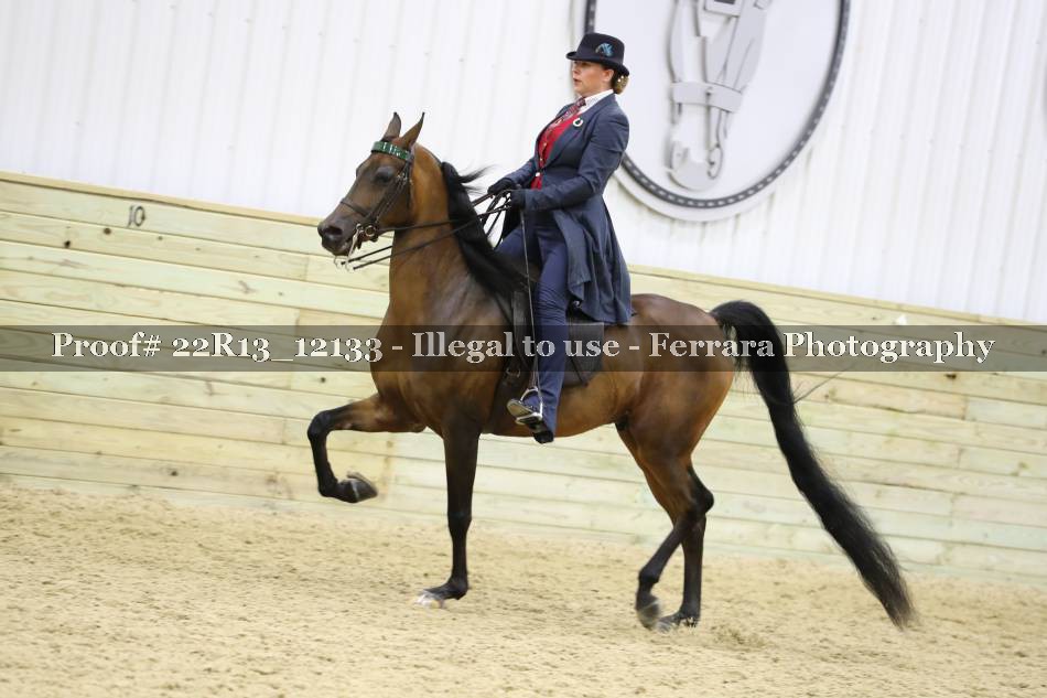 Proof 22R13_12133