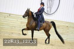 22R13_12133 proof