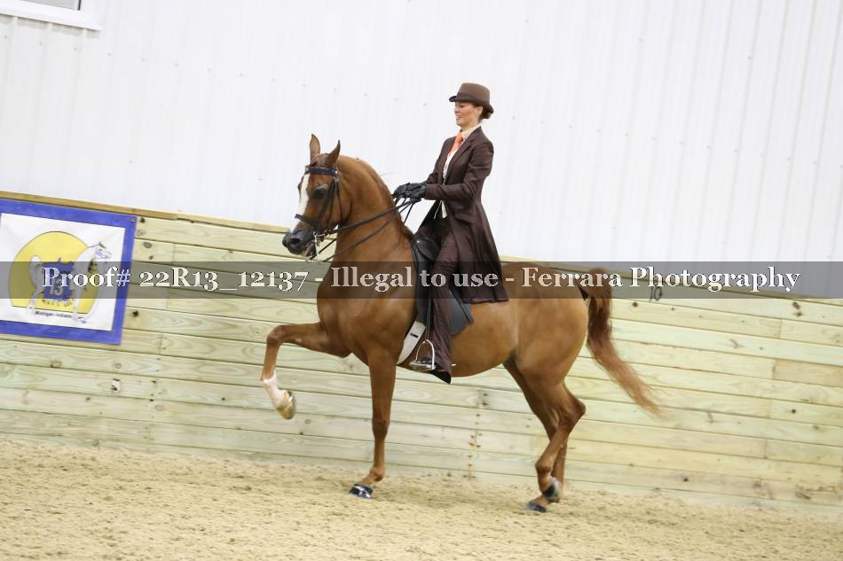 Proof 22R13_12137