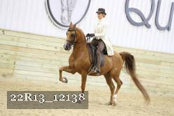 22R13_12138 proof