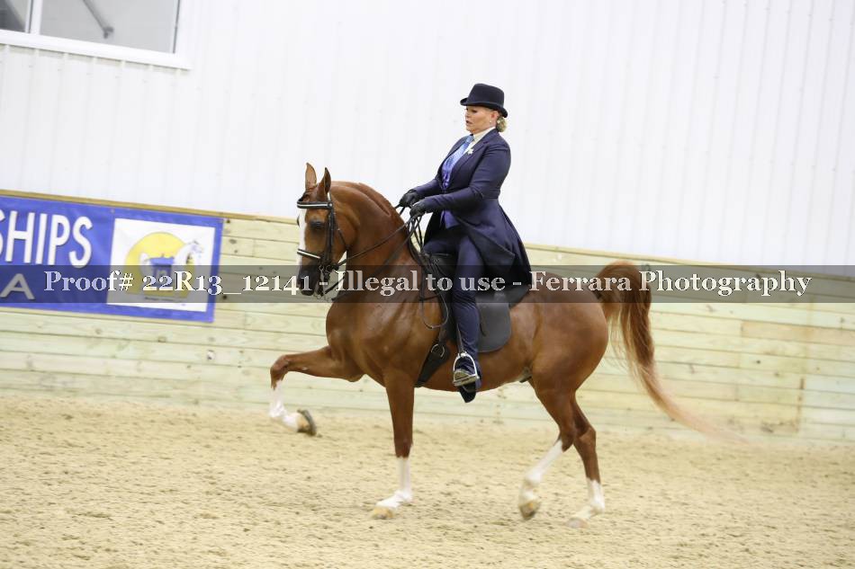 Proof 22R13_12141
