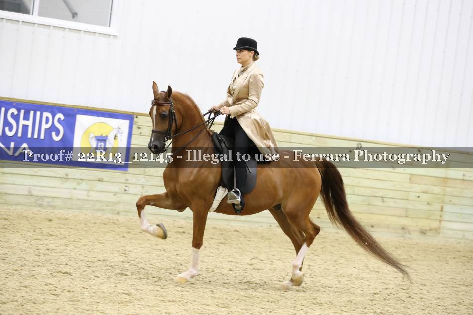 Proof 22R13_12145
