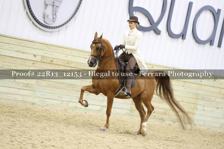 Proof 22R13_12153