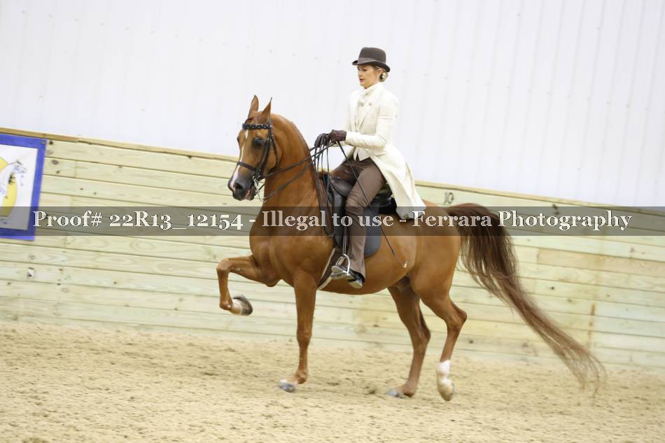 Proof 22R13_12154