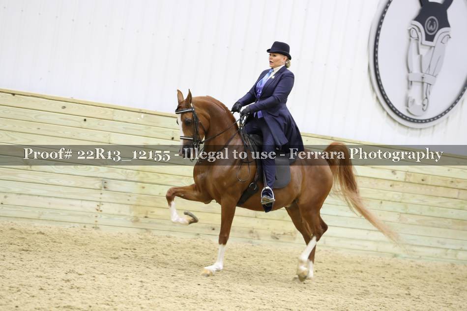 Proof 22R13_12155
