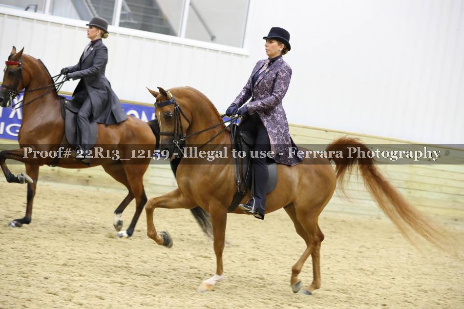 Proof 22R13_12159