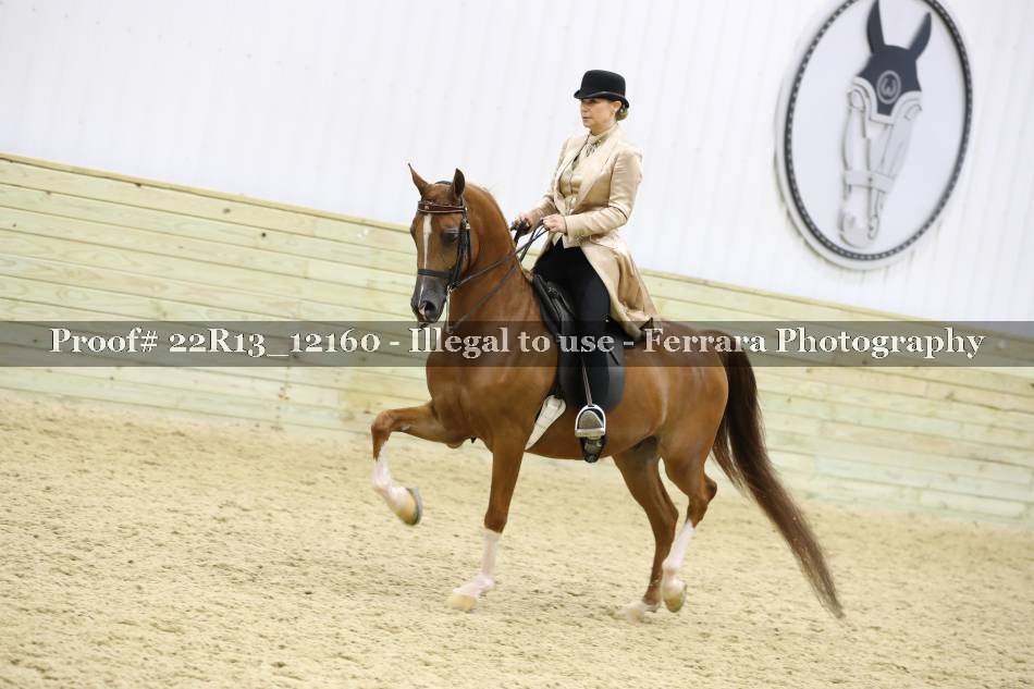 Proof 22R13_12160