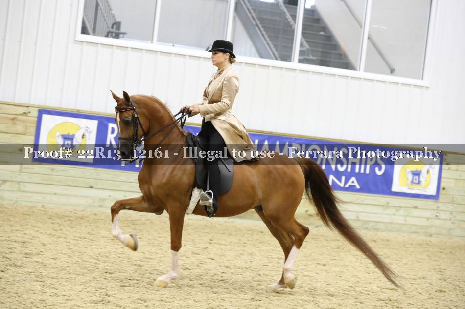 Proof 22R13_12161