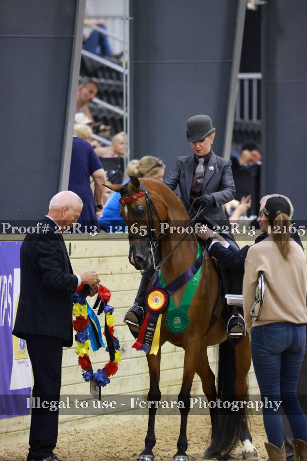 Proof 22R13_12165