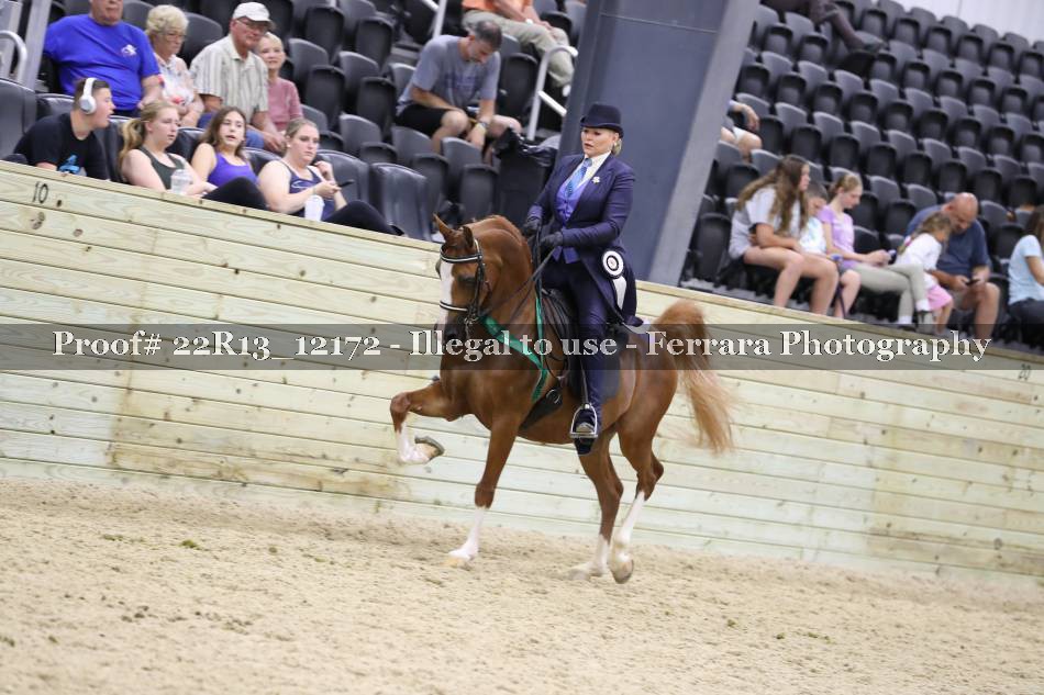 Proof 22R13_12172
