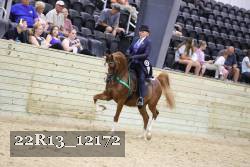 22R13_12172 proof