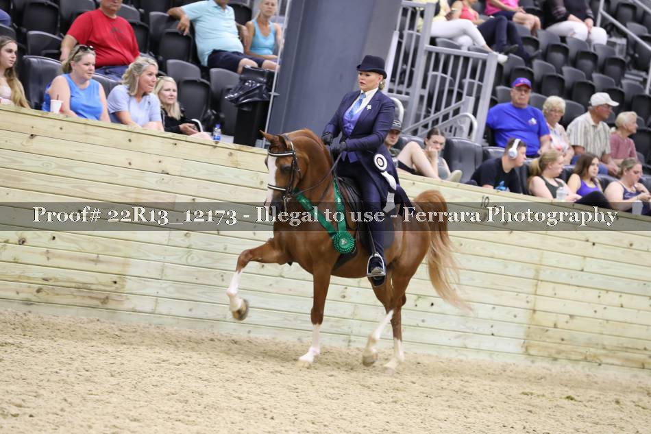 Proof 22R13_12173