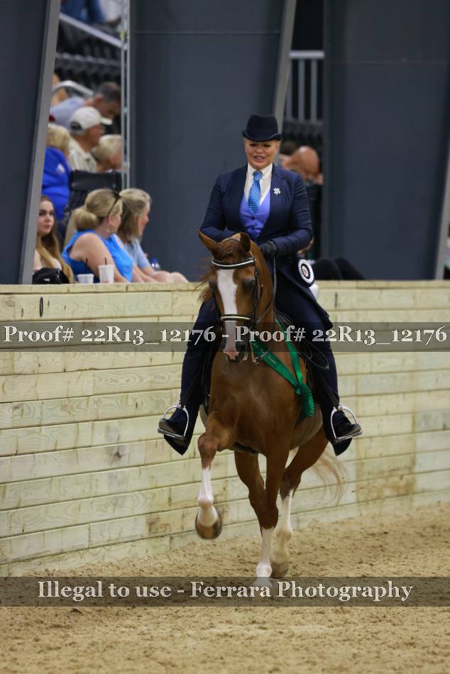 Proof 22R13_12176