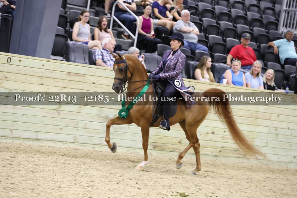 Proof 22R13_12185