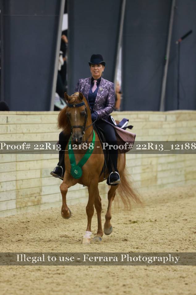 Proof 22R13_12188