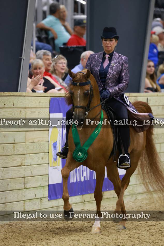 Proof 22R13_12189