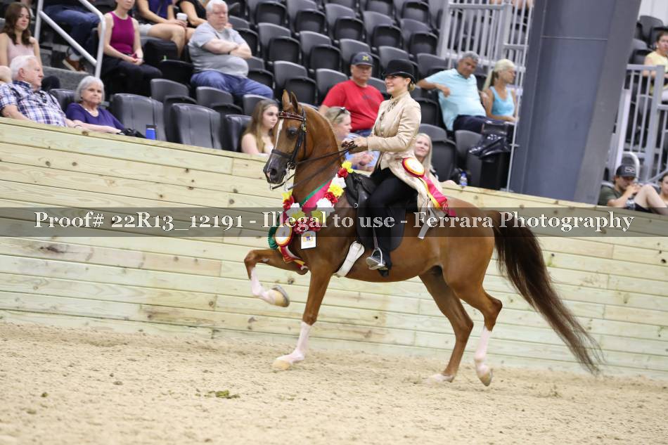 Proof 22R13_12191