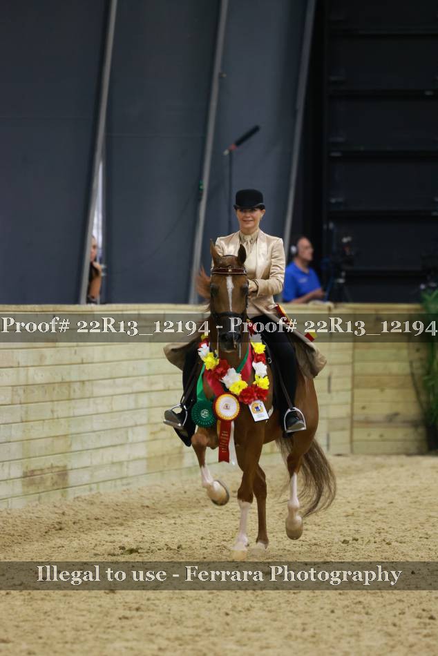 Proof 22R13_12194