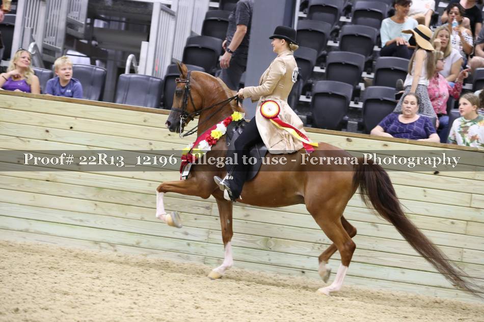Proof 22R13_12196