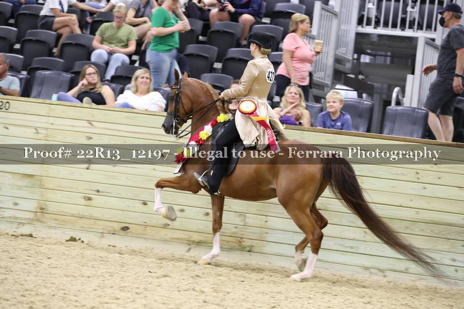Proof 22R13_12197